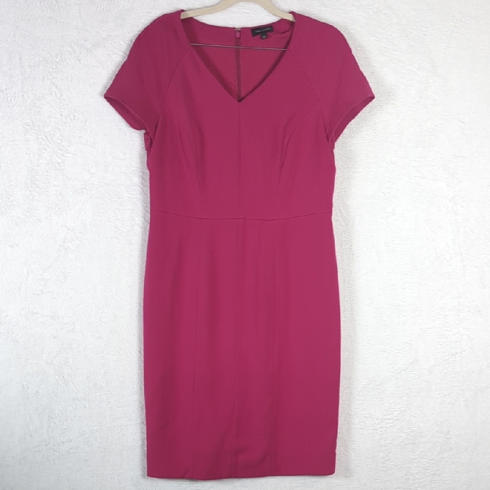 The Limited Pink Midi Dress